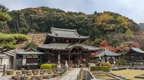三室戸寺(京都府)
