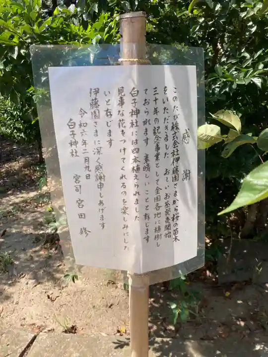 白子神社(千葉県)
