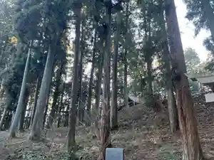 大宮温泉神社(栃木県)(2023年02月18日(土) 10時34分03秒投稿)