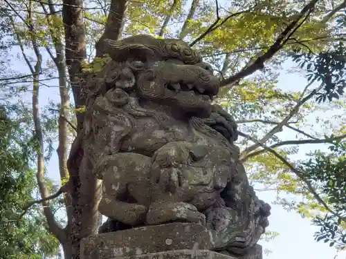 満志麻川神社の狛犬