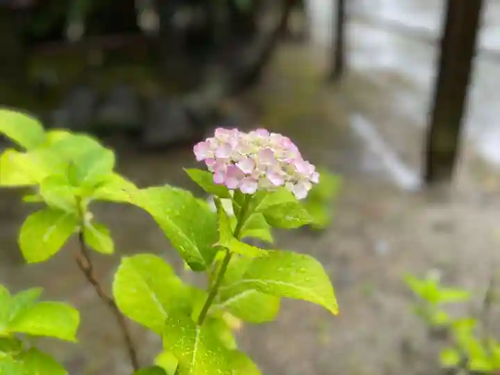 伊勢の国 四天王寺(三重県)