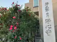 浄心寺の{uncategorized: "未分類", other: "その他", undefined: "問題あり", building: "その他建物", grave: "お墓", sacred_gate: "鳥居", guardian: "狛犬", statue: "像", buddha: "仏像", history: "歴史", nature: "自然", garden: "庭園", animal: "動物", pagoda: "塔", temizu: "手水舎", mountain_gate: "山門・神門", sanctuary: "本殿・本堂", subordinate: "末社・摂社", art: "芸術", scenery: "景色", jizo: "地蔵", ema: "絵馬", goshuin: "御朱印", omikuji: "おみくじ", items: "授与品その他", amulet: "お守り", goshuincho: "御朱印帳", eats: "食事", festival: "お祭り", votive_dance: "神楽", shichigosan: "七五三参", wedding: "結婚式", experience: "体験その他", initially: "初詣", around: "周辺", anti_infection: "感染症対策"}