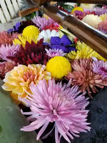 熊野神社の手水舎