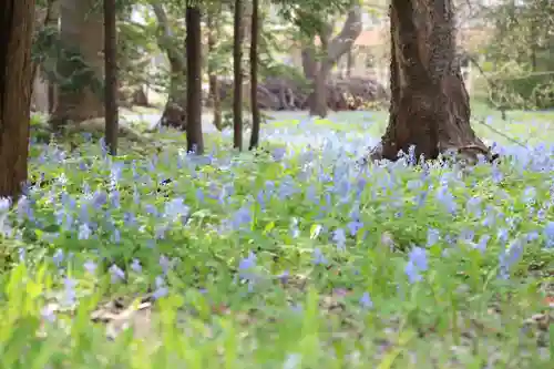 錦山天満宮の自然