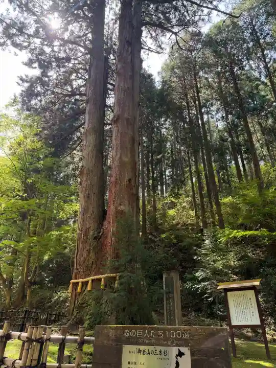 御岩神社の{uncategorized: "未分類", other: "その他", undefined: "問題あり", building: "その他建物", grave: "お墓", sacred_gate: "鳥居", guardian: "狛犬", statue: "像", buddha: "仏像", history: "歴史", nature: "自然", garden: "庭園", animal: "動物", pagoda: "塔", temizu: "手水舎", mountain_gate: "山門・神門", sanctuary: "本殿・本堂", subordinate: "末社・摂社", art: "芸術", scenery: "景色", jizo: "地蔵", ema: "絵馬", goshuin: "御朱印", omikuji: "おみくじ", items: "授与品その他", amulet: "お守り", goshuincho: "御朱印帳", eats: "食事", festival: "お祭り", votive_dance: "神楽", shichigosan: "七五三参", wedding: "結婚式", experience: "体験その他", initially: "初詣", around: "周辺", anti_infection: "感染症対策"}