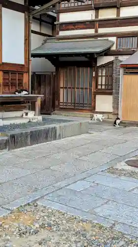 成田山新勝寺の動物