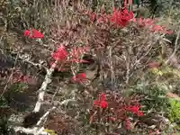 木舟山 順教寺(広島県)