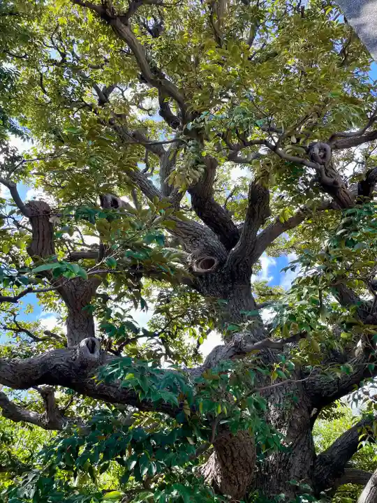 真勝院(東京都)