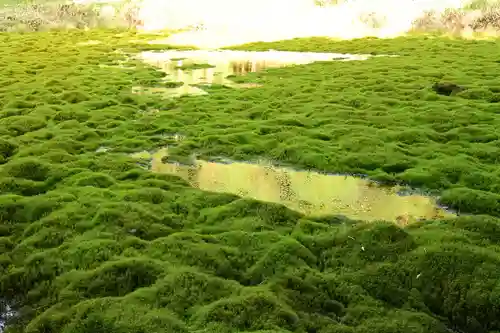 大山祇神社(高知県)