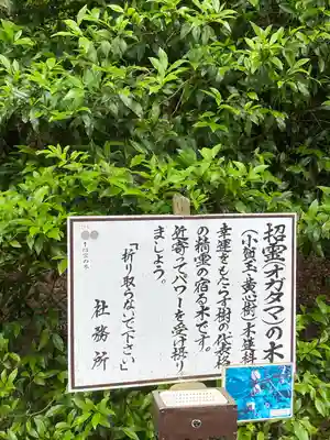 息栖神社(茨城県)