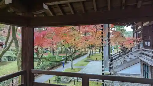 真正極楽寺（真如堂）(京都府)