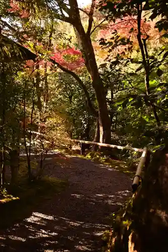 光悦寺(京都府)
