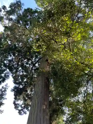 石鎚神社 口之宮 本社(愛媛県)