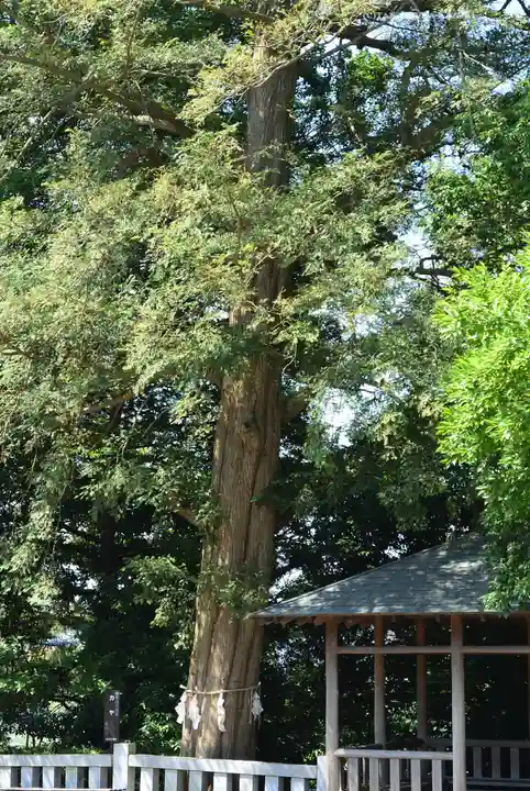 神鳥前川神社(神奈川県)