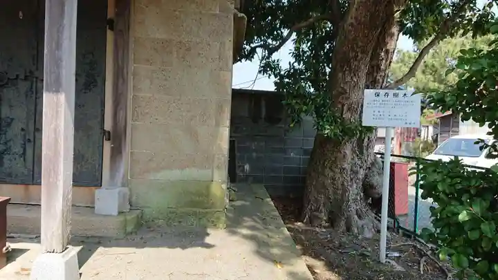 佐久神社の自然