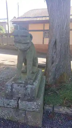 鹿嶋神社の狛犬