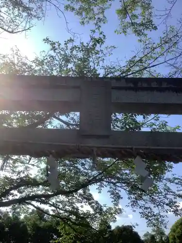 曽野稲荷神社の鳥居