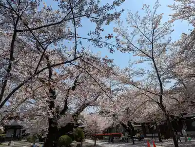 本願寺山科別院(京都府)