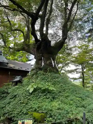 熊野皇大神社(長野県)