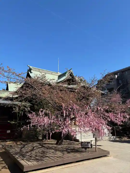 桜神宮(東京都)