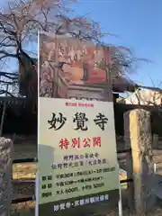 妙覺寺（妙覚寺）の建物その他