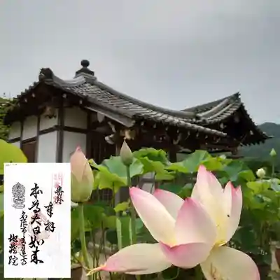 青蓮寺のその他建物