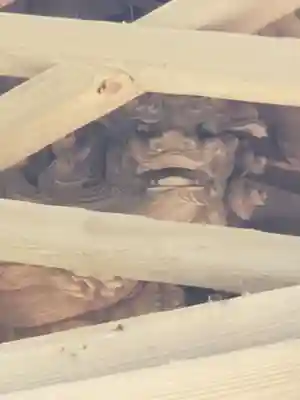 駒形神社のその他建物