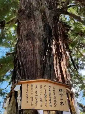 諏訪大社下社秋宮(長野県)