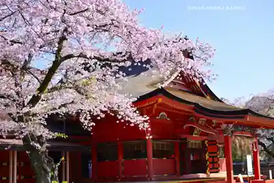 富士山本宮浅間大社(静岡県)