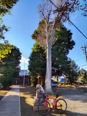 十二社神社(千葉県)