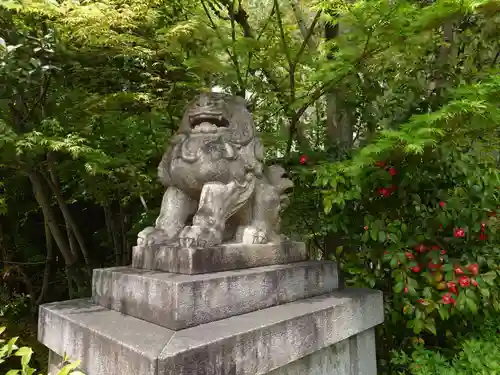 晴明神社の狛犬