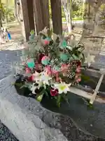彌彦神社 (伊夜日子神社)(北海道)