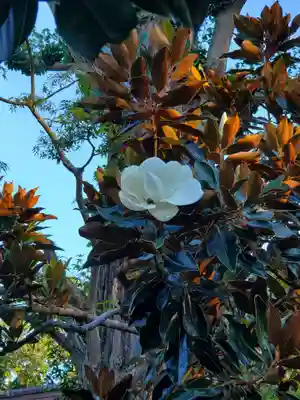 沙沙貴神社(滋賀県)