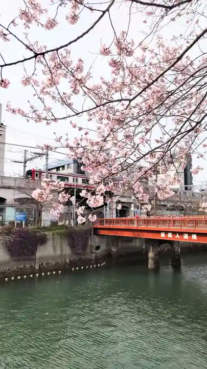 伊勢山皇大神宮の御朱印