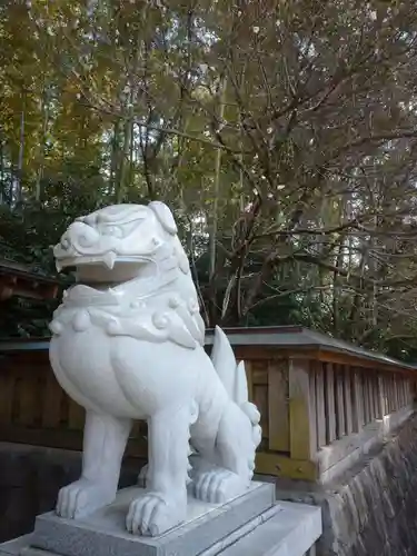 健軍神社の狛犬