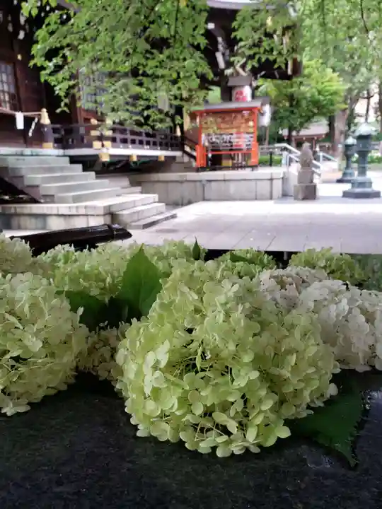 熊野神社(東京都)