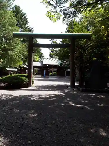 琴似神社の鳥居