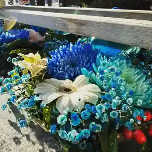 豊景神社の御朱印(2023年03月15日(水) 12時47分22秒投稿)