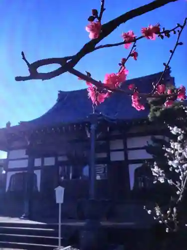 瑞円寺(東京都)