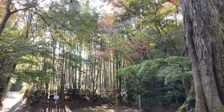 佐牙神社(京都府)