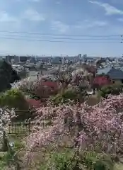 岡本八幡神社の景色