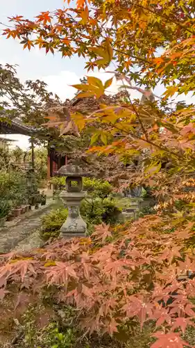 香雪院(京都府)