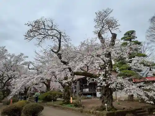 実相寺の本殿