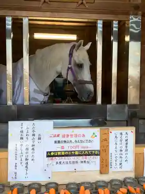 多度大社(三重県)