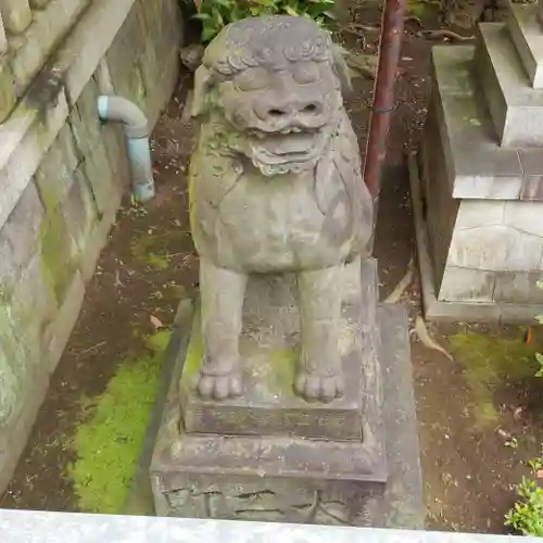 富岡八幡宮の狛犬