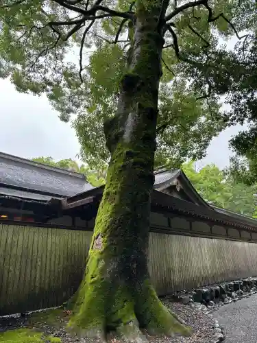 伊勢神宮外宮（豊受大神宮）(三重県)