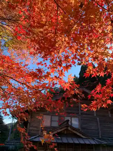 長瀧寺の自然