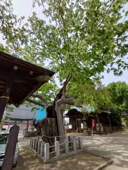 阿邪訶根神社(福島県)