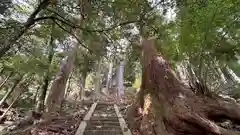 白山神社の建物その他