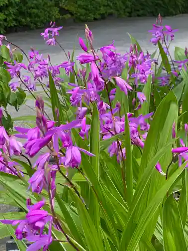 横浜　西方寺の自然